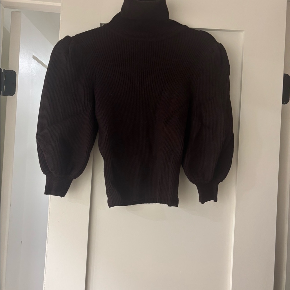 Zara eggplant purple Turtleneck Sweater